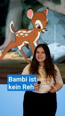 Warum Bambi kein Reh ist