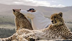 Eine Frau streichelt einen Geparden. Daneben liegt ein weiterer Gepard.