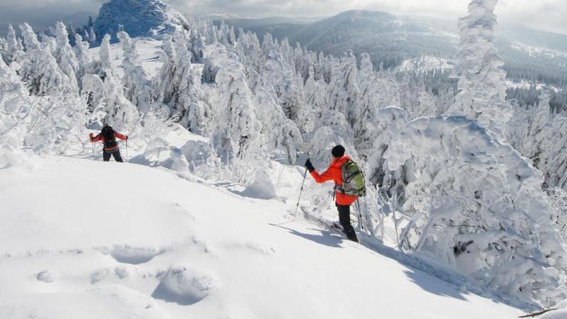 Schnee auf dem Grossen Arber