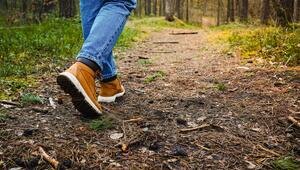 Spaziergang im Herbst