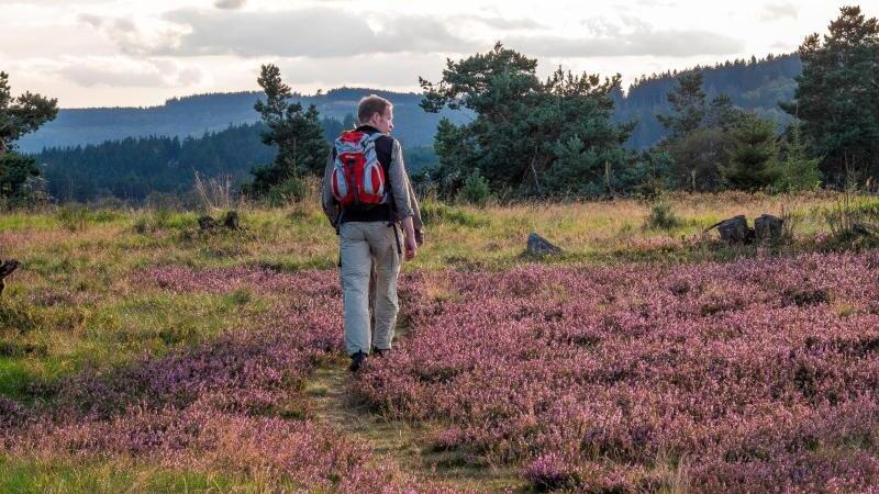 Rothaarsteig im Sauerland