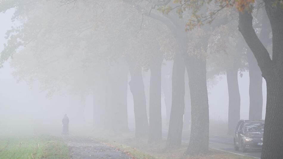 Trüber Herbsttag