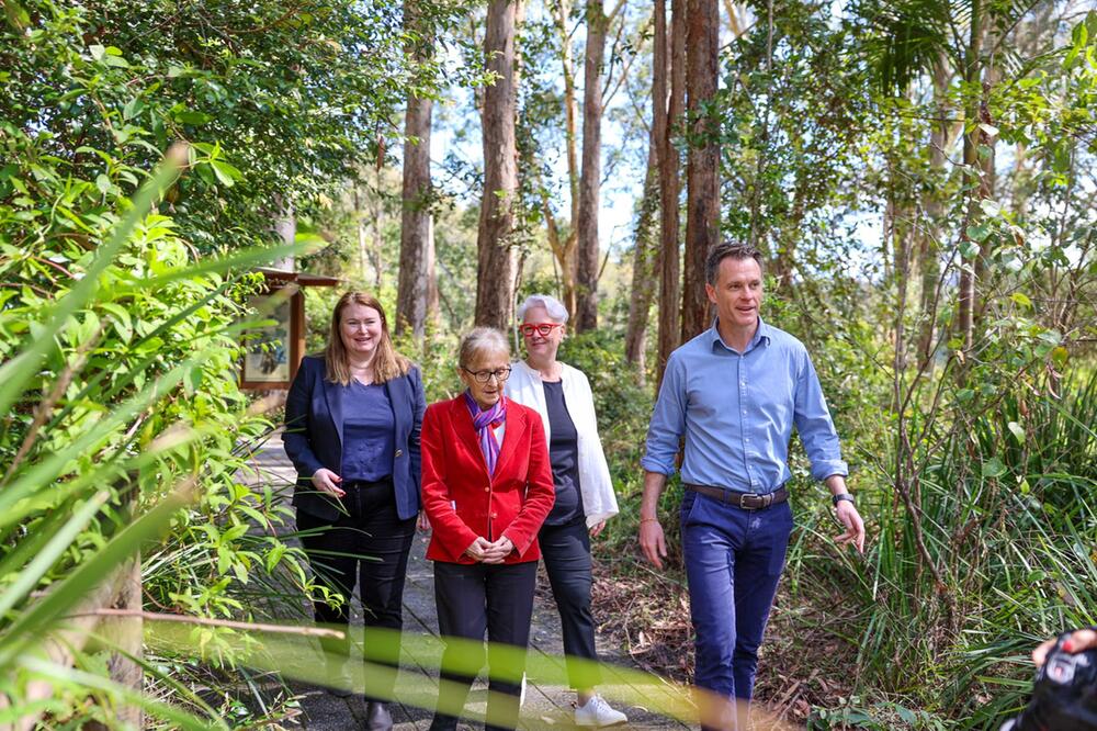 Grosses Koala-Nationalparkprojekt in Australien