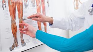 Ein Arzt zeigt auf ein Knie auf einem Bild