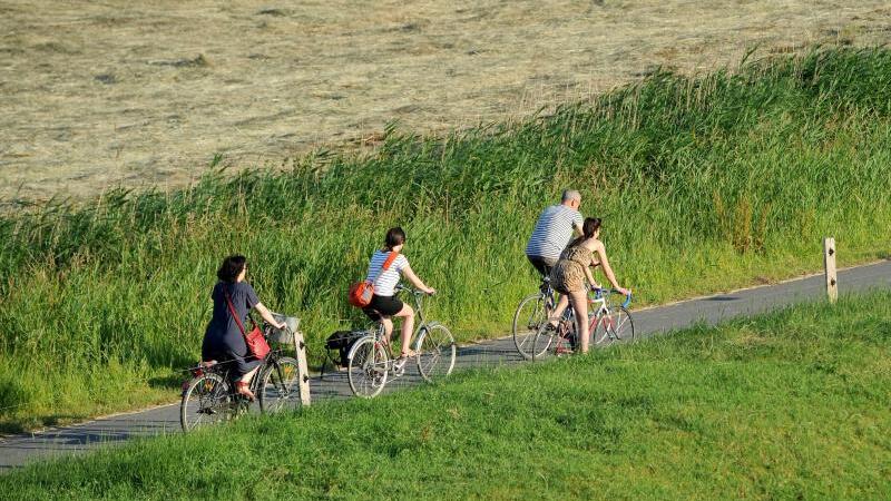 Radwanderweg im Naturschutzgebiet „Luneplate“