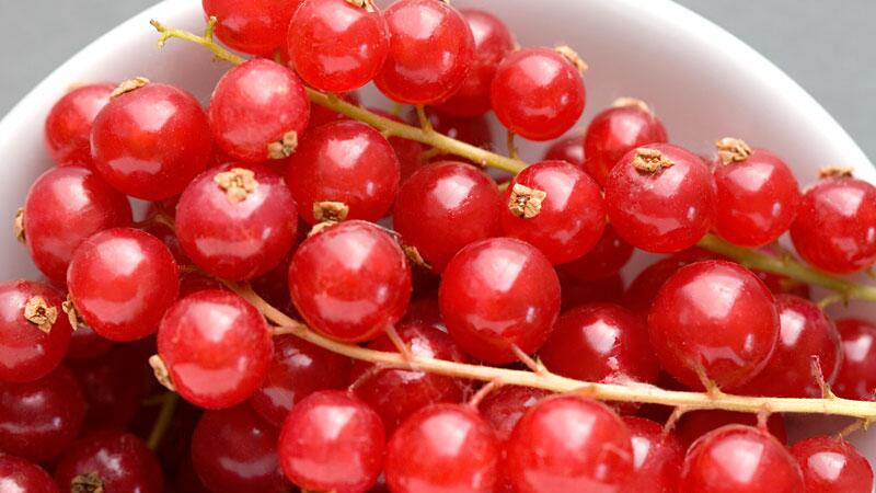 Johannisbeeren in einer Schale