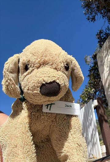 Plüschhund "Jack" in Australien