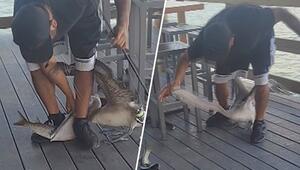 Dreister Dieb: Pelikan liefert sich Tauziehen mit Angler