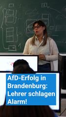 KORREKTUR! Nach dem AfD-Erfolg in Brandenburg schlagen Lehrer Alarm!