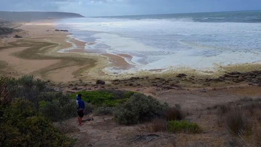 Rätsel um gelben Schaum und kranke Surfer in Südaustralien