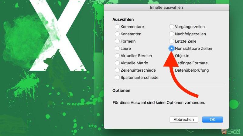 Auswahl-Menü in Excel