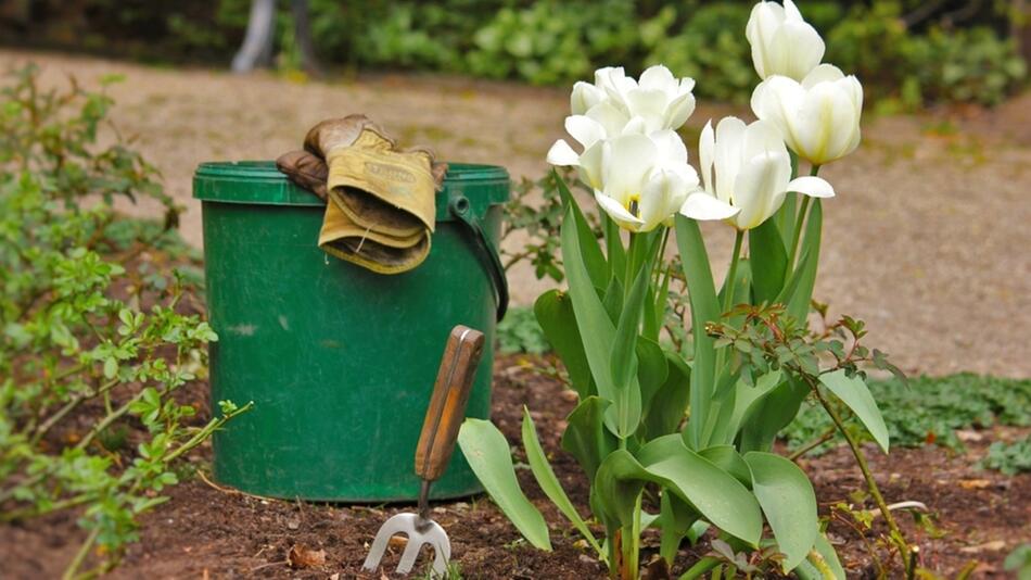 Gärtnern im Frühling