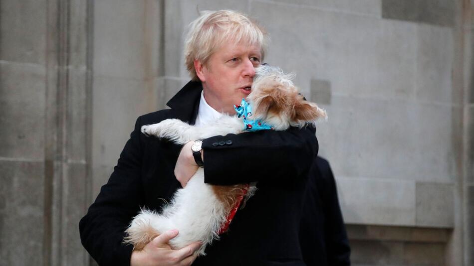 Boris Johnson mit Hund Dilyn