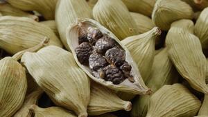 Studien zeigen positive Effekte von Kardamom auf Organe und Verdauung