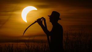 Sonnenfinsternis - Brandenburg
