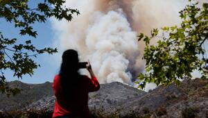 Waldbrand in Kalifornien