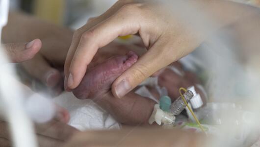 Fuss eines Neugeborenen