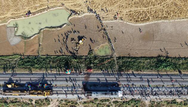 Elefanten sterben in Indien bei Kollision mit Zug