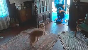 Wunderbares Wiedersehen: Astronautin Christina Koch mit Hündin Sadie vereint