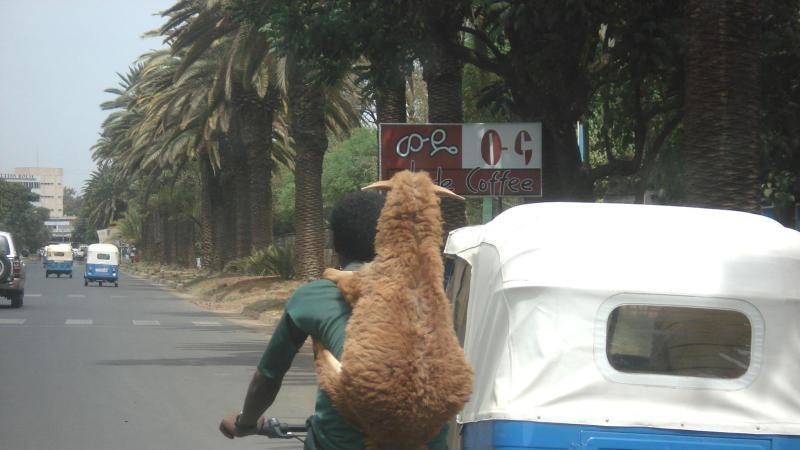 Strasse in Bahir Dar