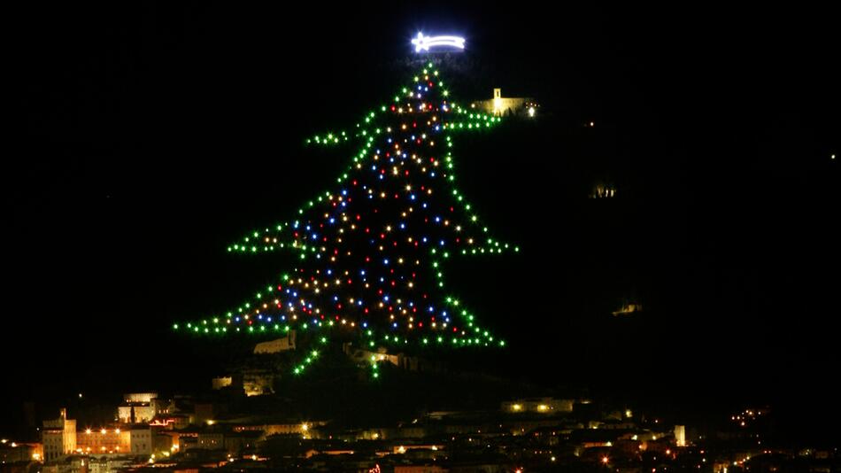 KORREKTUR Weltrekord: Hier gibt es den grössten Weihnachtsbaum der Welt