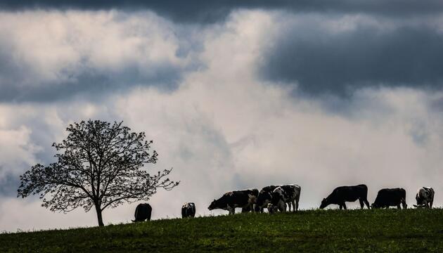 Wetter in der Eifel