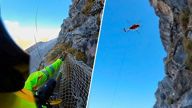 In höchster Not: Feuerwehr rettet gestrandeten Hund per Hubschrauber aus den Alpen