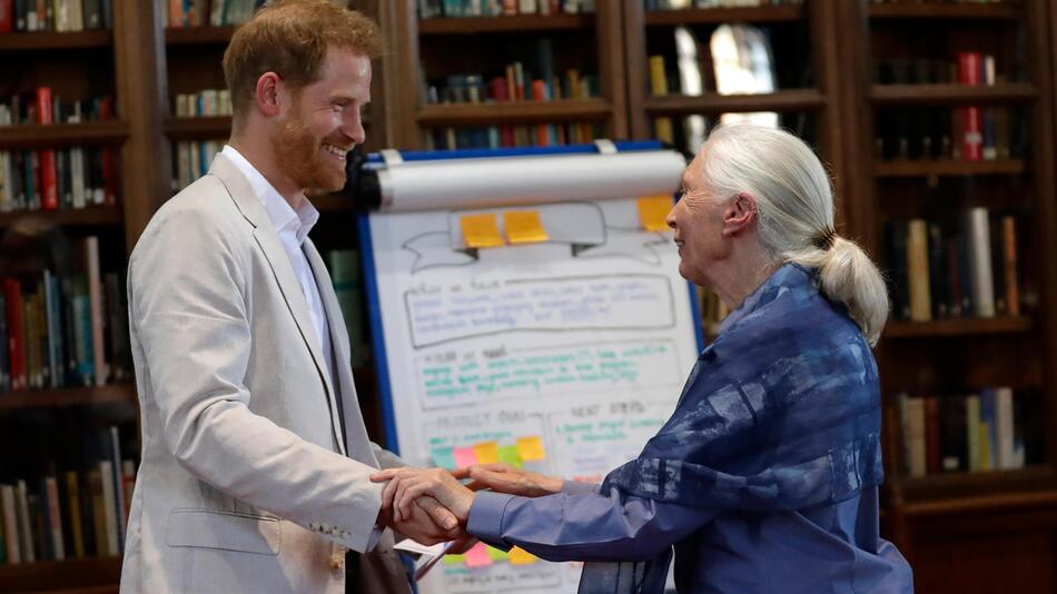 Prinz Harry, Dr. Jane Goodall