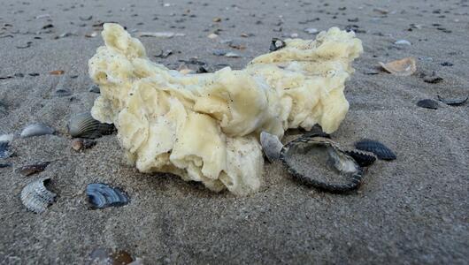 Weisse Klumpen an Stränden von Nordseeinseln angespült