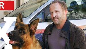 "Kommissar Rex": Rex und Max Steiner (Maximilian Brückner) sind ein Team.