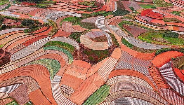 Wie gemalt: Leuchtende Frühlingsfelder in China sorgen für bunte Landschaften