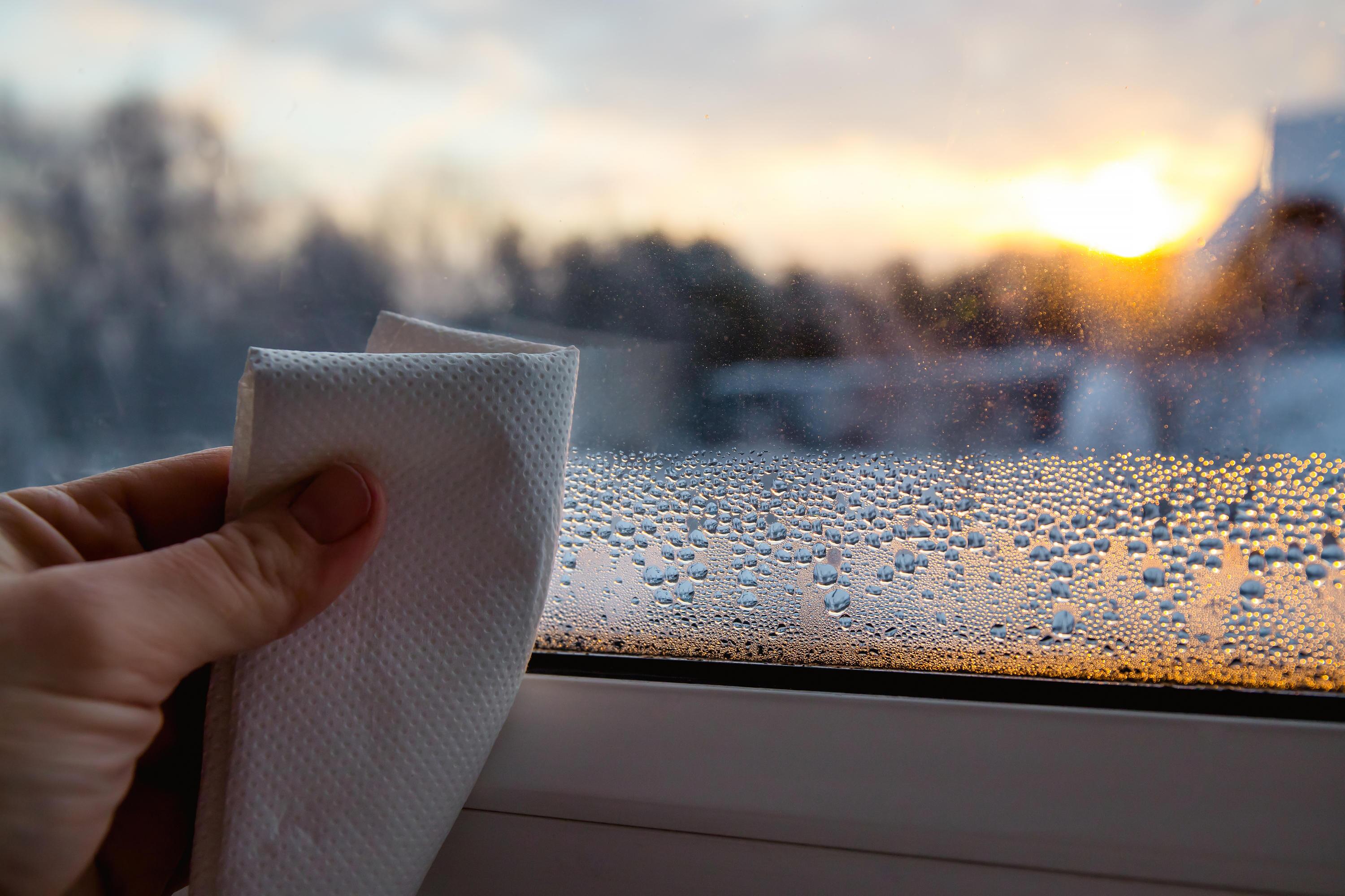Lüften im Winter: Das hilft gegen Kondenswasser am Fenster