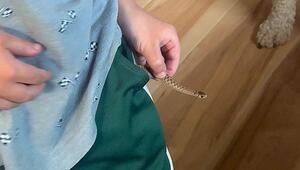 Unerwünschtes Geschenk: Junge überrascht Mutter mit lebender Schlange