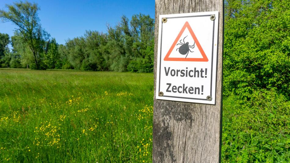 Warnung vor Zecken