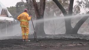 Buschfeuer in Australien vernichten Häuser und Tausende Hektar Vegetation   