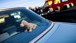 Wackeldackel sitzt in einem Auto