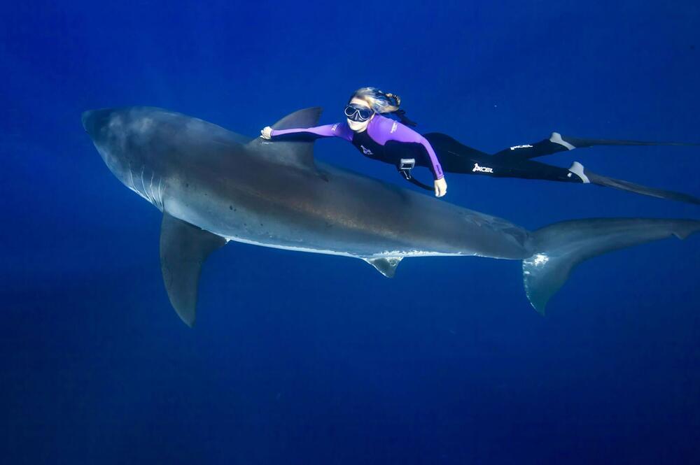 Ocean Ramsey