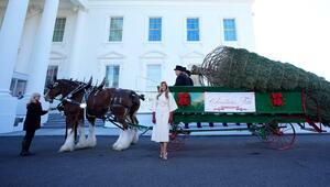 Melania Trump vor einer Pferdekutsche mit dem offiziellen Weihnachtsbaum.
