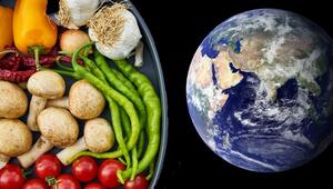 Die "planetary health diet" soll gut für die Erde und den Menschen sein.