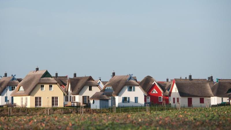 Ferienhäuser auf der Insel Rügen