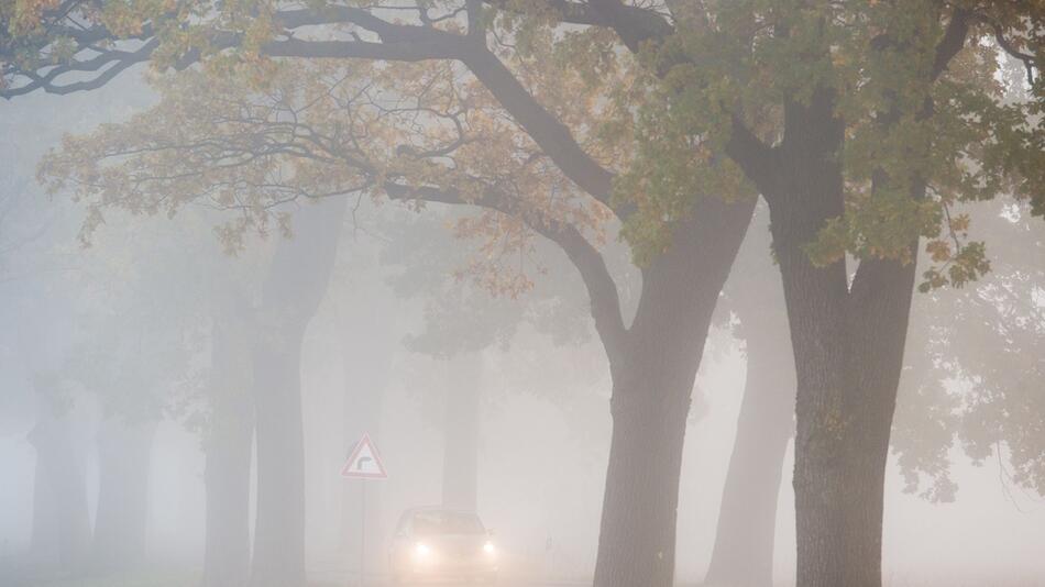 Auto fährt bei Nebel auf einer Landstrasse