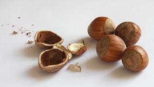 haselnussschalen nutzen