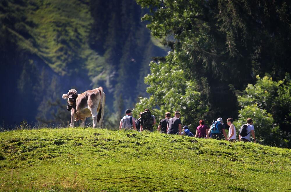 Sommerurlaub in Deutschland