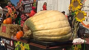 Über eine Tonne schwer: Kürbis „Rocky“ gewinnt Weltmeisterschaft in Half Moon Bay