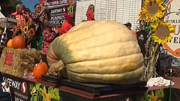 Über eine Tonne schwer: Kürbis „Rocky“ gewinnt Weltmeisterschaft in Half Moon Bay