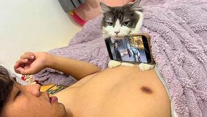Zuneigung gesucht – Arbeit bekommen: Mann nutzt Katze als Handyhalter
