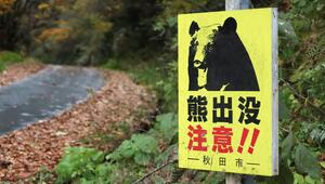 Japan, Bärensichtung, Schild