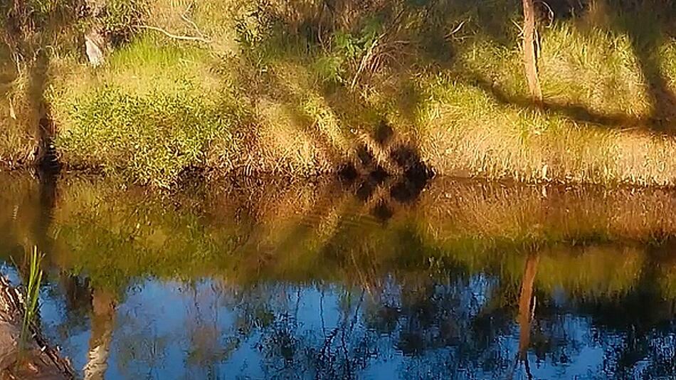 Wie Diamanten: Camper in Australien filmt an Fluss unglaublichen Schatten