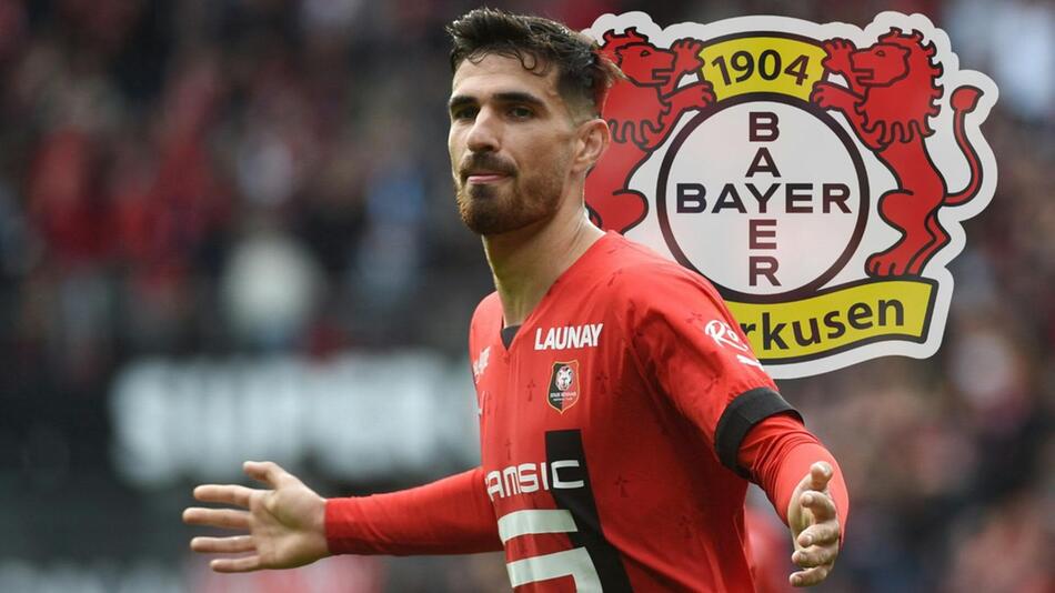 Martin Terrier kommt von Stade Rennes zu Bayer Leverkusen