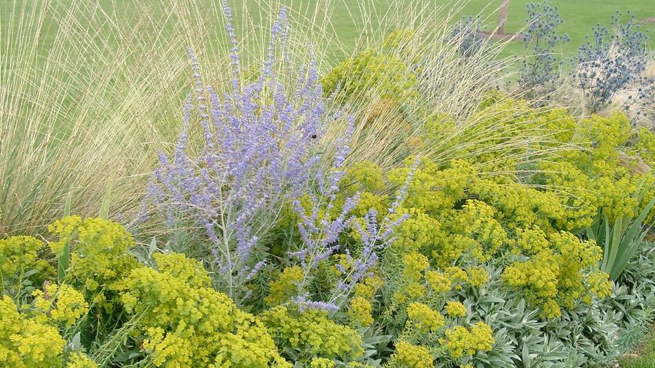 Gartengestaltung mit Stauden